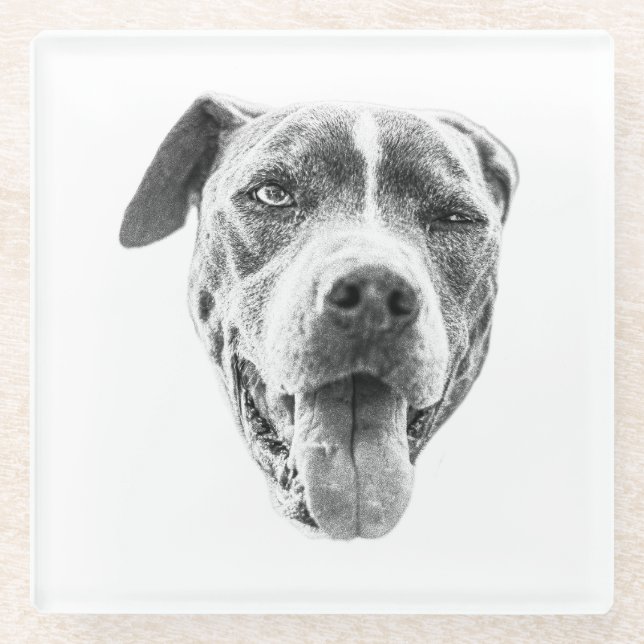 Chilly Dusk Canine Echo Glass Coaster (Front)