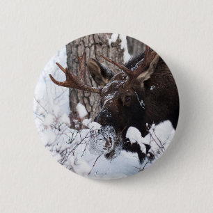 Chilly Moose 6 Cm Round Badge