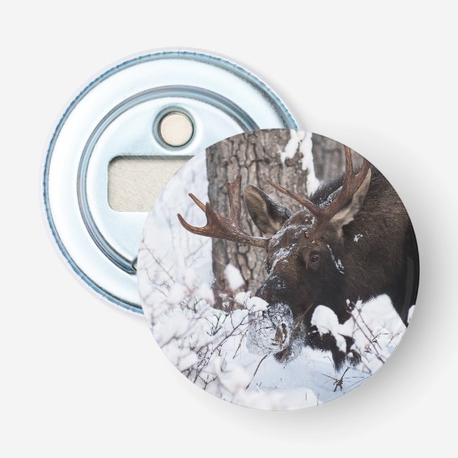 Chilly Moose Bottle Opener (Front)