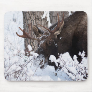 Chilly Moose Mouse Mat