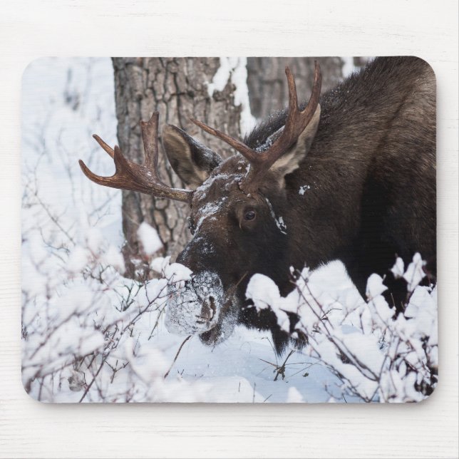 Chilly Moose Mouse Mat (Front)