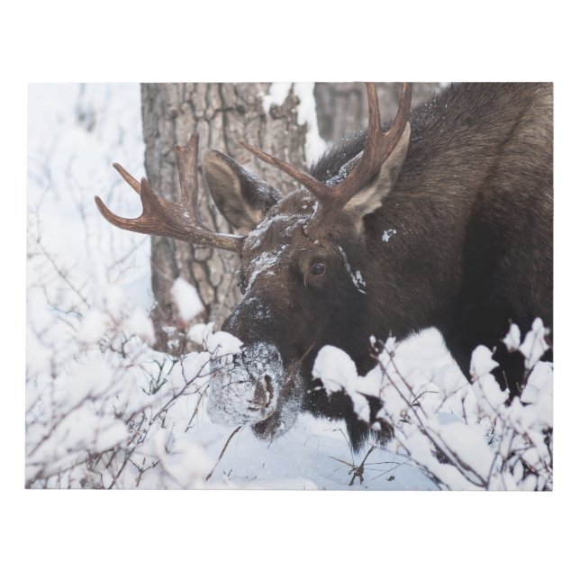 Chilly Moose Notepad (Front)