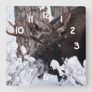 Chilly Moose Square Wall Clock