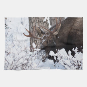 Chilly Moose Tea Towel