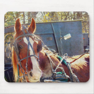 Chilly Morning Amish Horse Mouse Mat