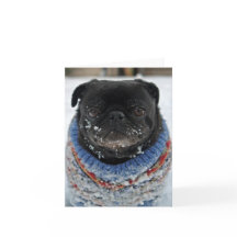 Chilly Pug Note Card - blank