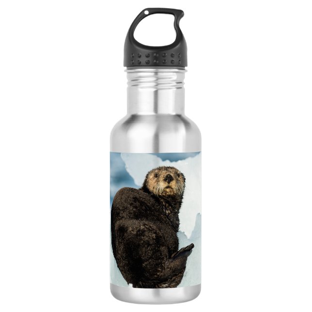 Chilly Sea Otter 532 Ml Water Bottle (Front)