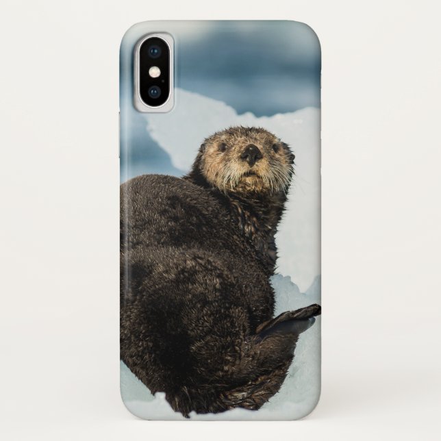 Chilly Sea Otter Case-Mate iPhone Case (Back)