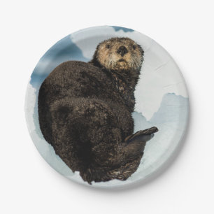 Chilly Sea Otter Paper Plate
