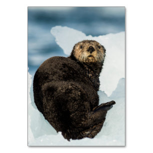 Chilly Sea Otter Table Number