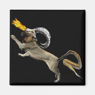 Chimera Magnet