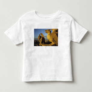 Chimera, re Dame Cathedral, Paris, France Toddler T-Shirt