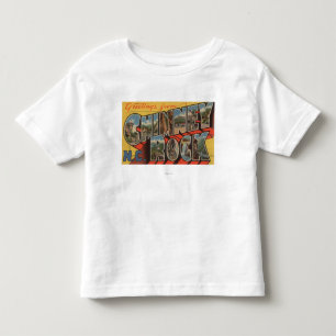 Chimney Rock, North Carolina Toddler T-Shirt