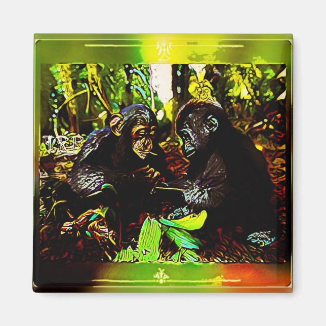 Chimp and Gorilla Cooperation 02. Magnet (Front)
