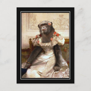 Chimp in Gown Postcard
