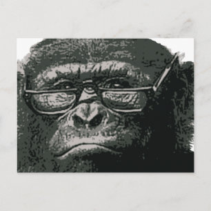 Chimp Reading Postcard