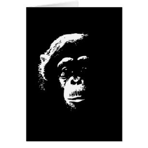 Chimp Shadows