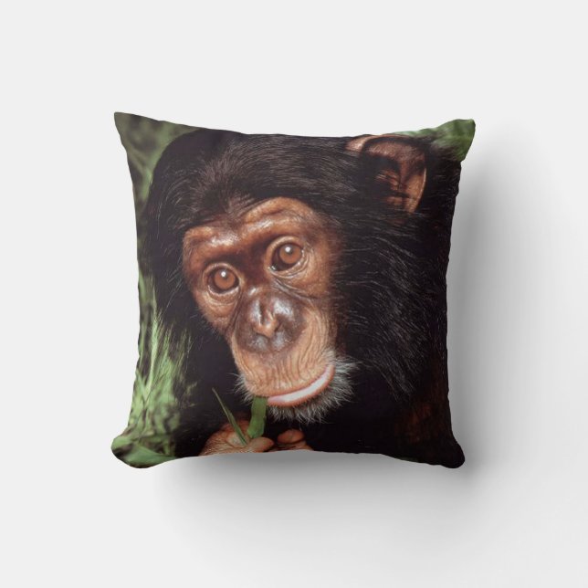 Chimpansee Cushion (Front)