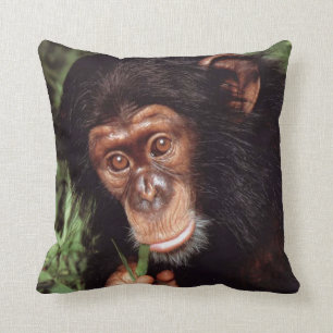 Chimpansee Cushion