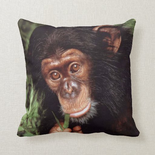 Image of Chimpansee Cushion