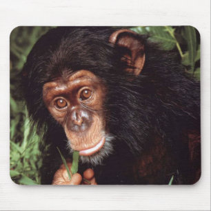 Chimpansee Mouse Mat
