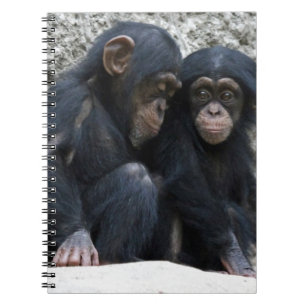 Chimpanzee002 Notebook