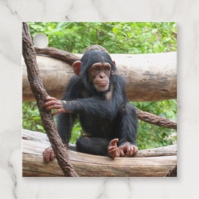 Chimpanzee 001 favour tags (Front)