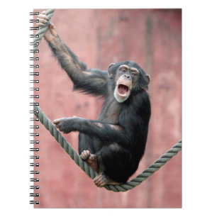 Chimpanzee 001 notebook