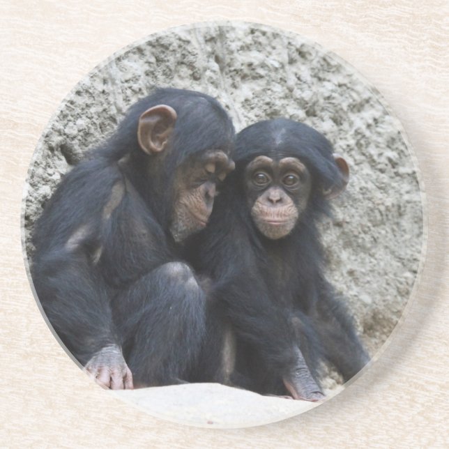 Chimpanzee 002 coaster (Front)
