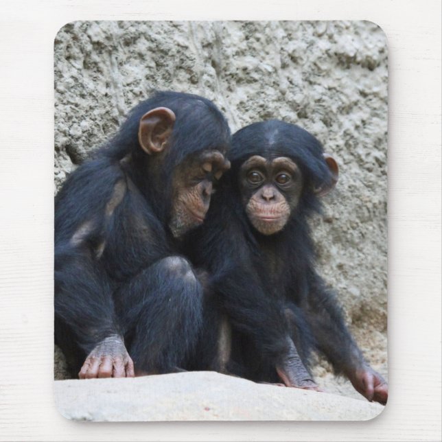 Chimpanzee 002 mouse mat (Front)