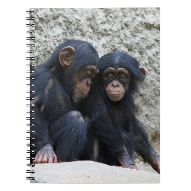 Chimpanzee 002 notebook (Front)