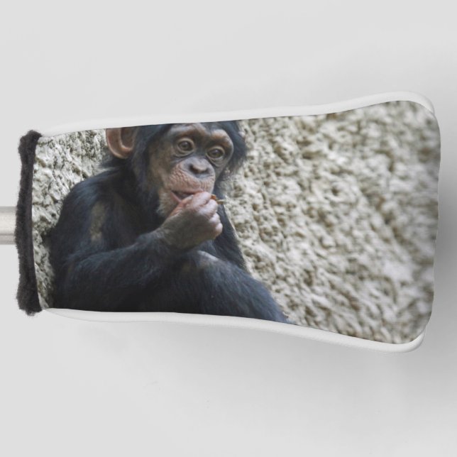 Chimpanzee 013 golf head cover (Front)