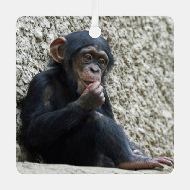 Chimpanzee 013 metal tree decoration (Front)