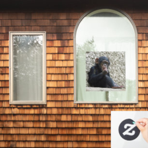 Chimpanzee 013 window cling