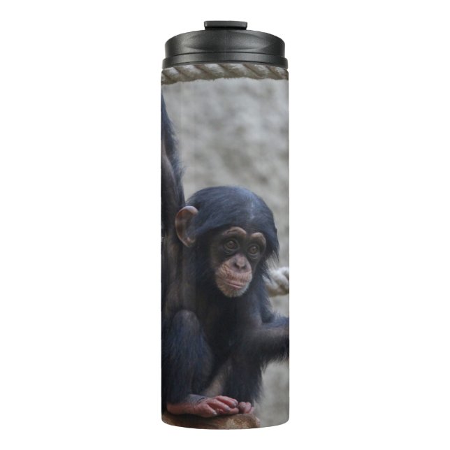 Chimpanzee 017 thermal tumbler (Front)