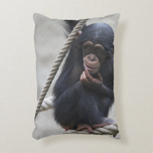 Chimpanzee 030 decorative cushion