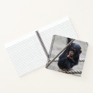 Chimpanzee 030 notebook