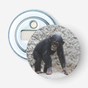 Chimpanzee 031 bottle opener