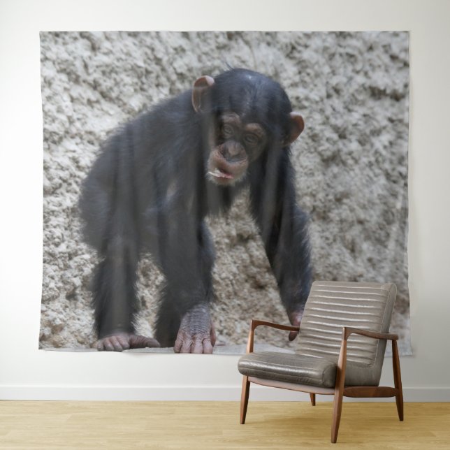 Chimpanzee 031 tapestry (In Situ (Horizontal))