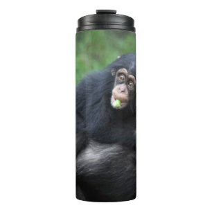 Chimpanzee 032 thermal tumbler
