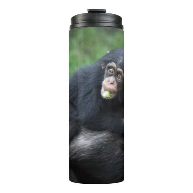 Chimpanzee 032 thermal tumbler (Front)