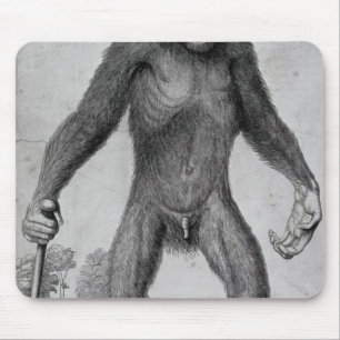 Chimpanzee, 1699 mouse mat