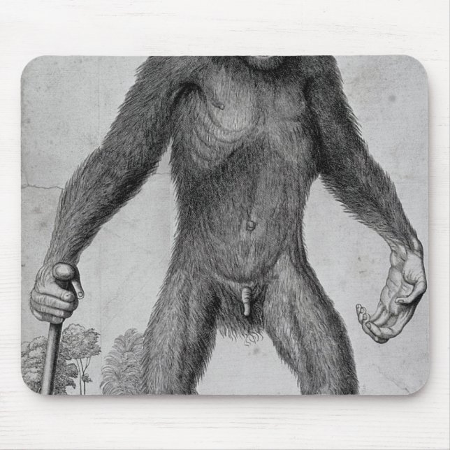 Chimpanzee, 1699 mouse mat (Front)