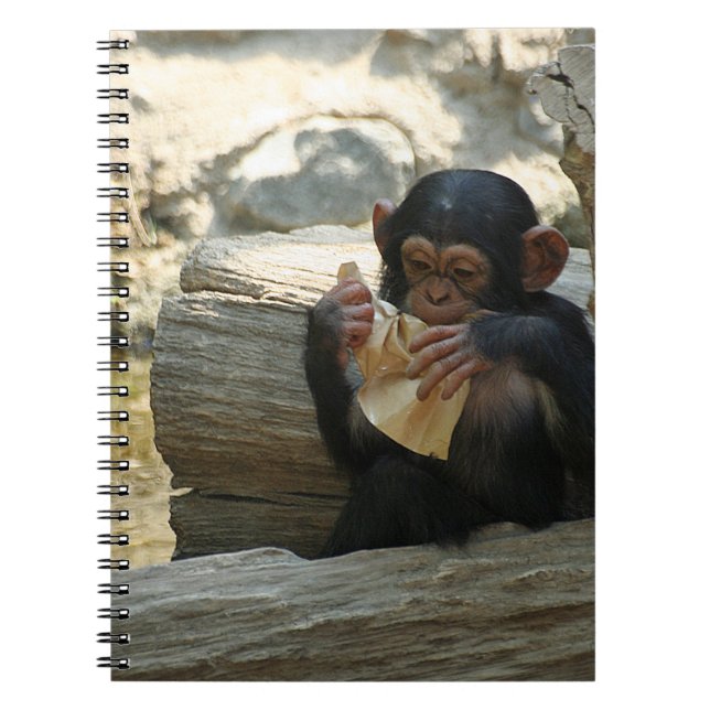 Chimpanzee_2015_0101 Notebook (Front)
