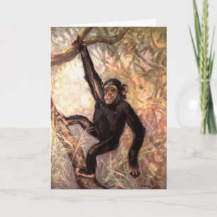 Chimpanzee by CE Swan, Vintage Wild Jungle Animals Card