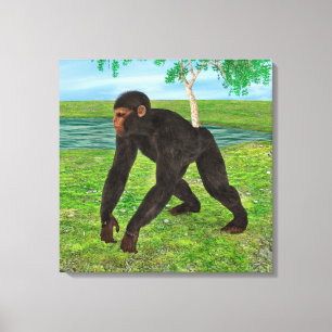 Chimpanzee Canvas Print