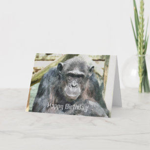 CHIMPANZEE CARD