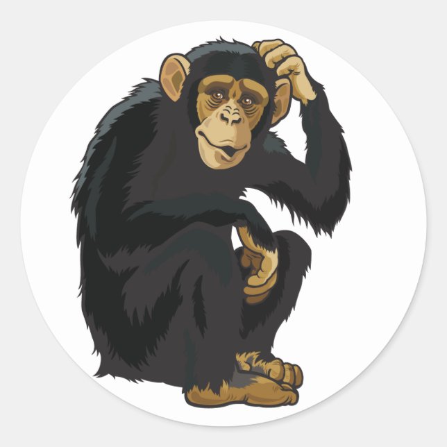 chimpanzee classic round sticker (Front)