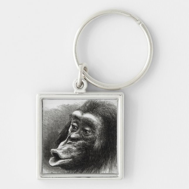 Chimpanzee Disappointed and Sulky Key Ring (Front)