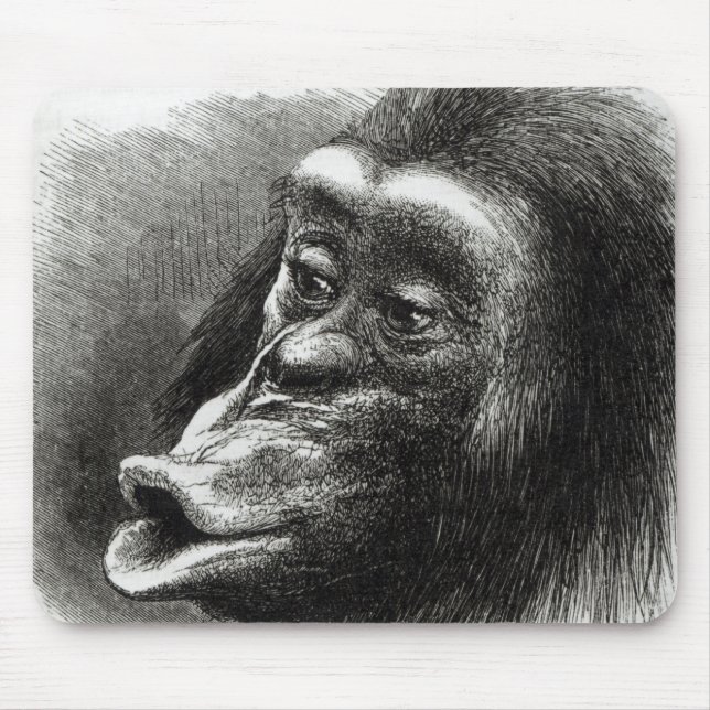 Chimpanzee Disappointed and Sulky Mouse Mat (Front)